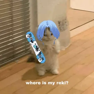 🐈 55a8fe83 where is my reki? кот, аниме, скейтбординг, смешной, мем telegram sticker