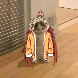 🐈 78073ab8 Hawks My Hero Academia кот, аниме, Хокс, Моя геройская академия, крылья, смешной telegram sticker