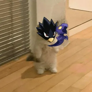 🐈 8a1ed3c8 Fumikage Tokoyami My Hero Academia Аниме, Моя геройская академия, Токоями, Фумикаге Токоями, Кот telegram sticker