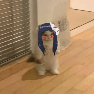 🐈 981c375a кот, смешной, юмор, маска, цифровое искусство telegram sticker