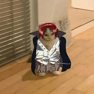 🐈 988c5ed0 Shanks One Piece кот, аниме, ван пис, шанкс, рыжие волосы, пародия telegram sticker