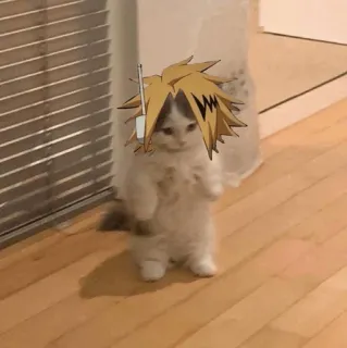 🐈 9a1b2cfc Denki Kaminari My Hero Academia кот, животное, милый, мем, Денки Каминари, Моя геройская академия telegram sticker