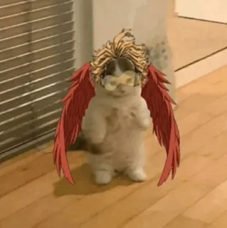 🐈 a9c50aee Hawks My Hero Academia кот, ястребы, аниме, Моя геройская академия, крылья, милый telegram sticker