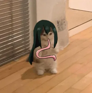 🐈 bd5c08f2 Tsuyu Asui My Hero Academia Аниме, Моя геройская академия, Тсую Асуи, Кот, Смешно, Мем telegram sticker