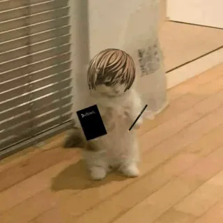 Standing Cat Anime @Icarusfalls telegram stickers