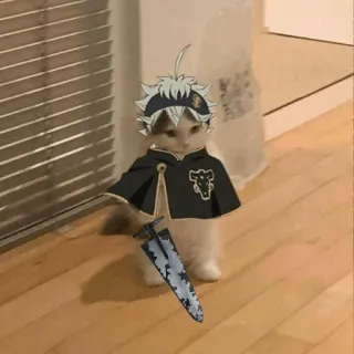 Standing Cat Anime @Icarusfalls telegram stickers