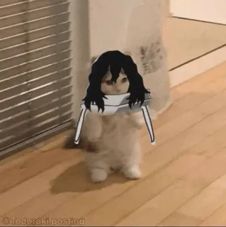 🐈 dee66681 @Todoroki.posting кот, аниме, милый, смешной, мем, тодороки, постинг telegram sticker