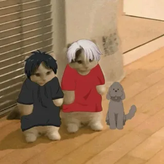 🐈 f541300d кошки, смешные, животные, юмор, милые, питомцы telegram sticker