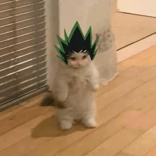 🐈 f9431943 Gon Freecss Hunter x Hunter кот, мем, Hunter x Hunter, Гон Фрикс, аниме, смешной, милый telegram sticker