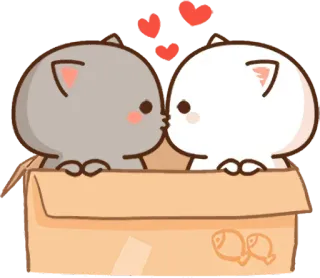 😘 5990691e 고양이, 사랑, 귀여운, 상자, 키스, 하트 telegram sticker