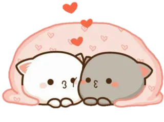 😴 ab5b27a5 고양이, 귀여운, 사랑, 동물, 카와이 telegram sticker
