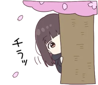 👀 5fbf0225 チラッ 애니메이션, 소녀, 엿보기, 귀여운, 일본, 벚꽃 telegram sticker