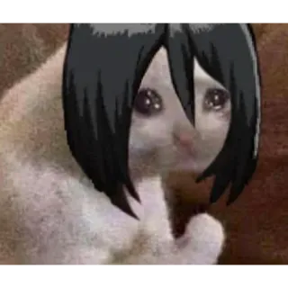 😭 e8dd8e21 Mikasa Ackerman Attack on Titan anime, cat, meme, sad, attack on titan, mikasa, crying telegram sticker