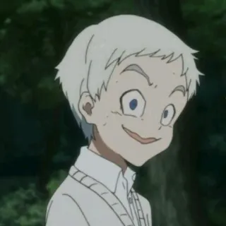 🌈 471b01cf Norman The Promised Neverland Anime, Dessin animé, Garçon, Souriant, Personnage, The Promised Neverland, Norman telegram sticker