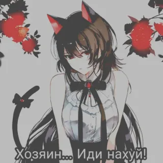 🌚 223a9fb8 Хозяин... Иди нахуй девочка-кошка, аниме, русский, оскорбительный, ругательства whatsapp sticker