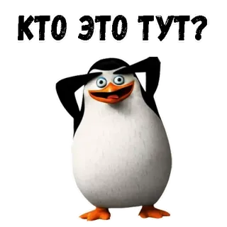 😳 5a24ff3c Penguin КТО ЭТО ТУТ? pinguino, cartone animato, animale, carino telegram sticker