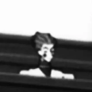 🖤 73165305 telegram sticker