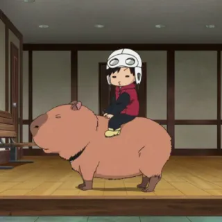 😐 2afe078a capibara, dier, helm, cartoon, rijden, kind whatsapp sticker