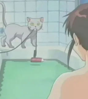 😳 5a11a925 kat, anime, badkamer, schoonmaken, huisdier, huisdier whatsapp sticker