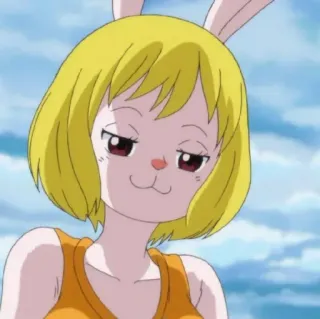 😏 69fe0f1d Carrot One Piece Anime, Konijn, Vrouwelijk, Schattig, Cartoon whatsapp sticker