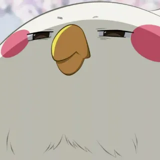 😑 992f2c6d vogel, valkparkiet, dier, huisdier, schattig, grappig, vogel, papegaai whatsapp sticker