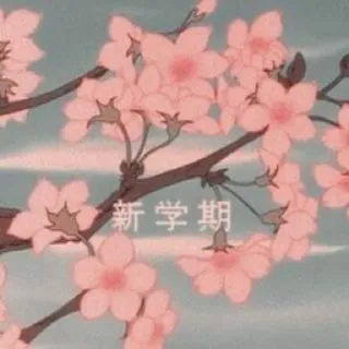✨ 5e00eb72 新学期 Kersenbloesems, Roze, Anime, Japans, Bloemen, Sakura telegram sticker