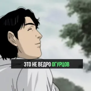 🥒 9fd86529 ЭТО НЕ ВЕДРО ОГУРЦОВ anime, man, text, russian telegram sticker
