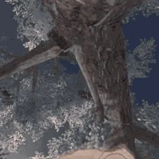 👀 85265053 arbre, nature, paysage, ciel, extérieur telegram sticker