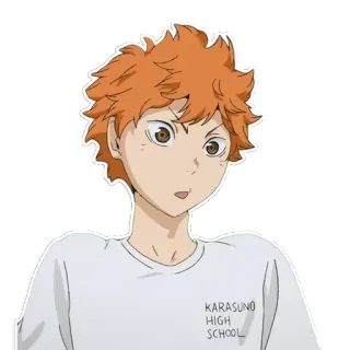 😶 734b05df Hinata Shoyo Haikyuu!! KARASUNO HIGH SCHOOL anime, karasuno high school, haikyuu, hinata shoyo, volleyball, teenager telegram sticker