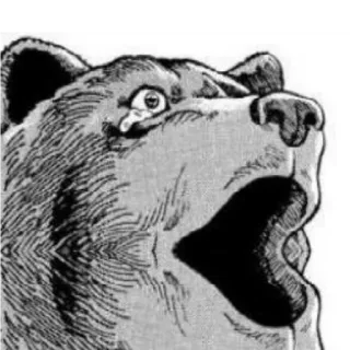 😂 496e8759 beruang, hewan, satwa liar, mamalia, alam, ilustrasi, gambar, stiker telegram sticker