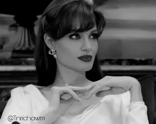 ➰ 85650639 Angelina Jolie attrice, donna, celebrità, ritratto, bianco e nero telegram sticker