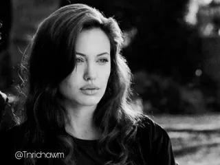 ➰ c2535900 Angelina Jolie attrice, celebrità, ritratto, donna, bianco e nero telegram sticker