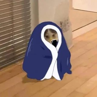 🔰 0619659d แมว, ผ้าห่ม, มีม, ตลก, น่ารัก telegram sticker