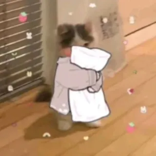 🔰 d8d417b0 กอด, สัตว์, แมว, น่ารัก, คาวาอิ telegram sticker