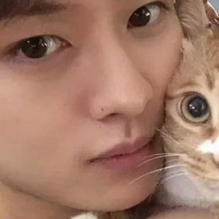 🥰 d3286c19 Selfie, Mann, Katze, Haustier, Porträt, Freundschaft, Tier whatsapp sticker