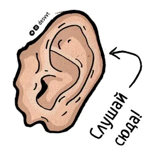 😥 75b4dcd0 Слушай сюда! 耳朵, 听, 听见, 注意, 插图, 贴纸 telegram sticker