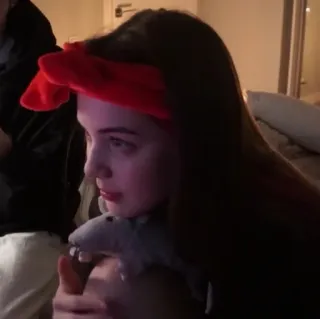 🤍 d47f76ba telegram sticker