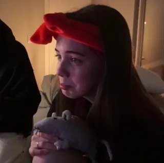 🤍 e138635e telegram sticker