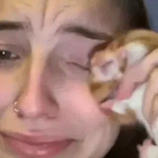 😪 cfa50631 whatsapp sticker