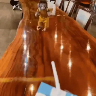 🤤 49dd373a обезьяна, горка, животное, игривый, милый telegram sticker