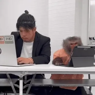 💻 9686c765 обезьяна, бизнесмен, ноутбук, iPad, офис, животное telegram sticker