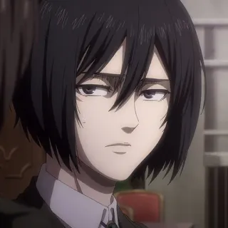 ⚔️ 60a7e701 Mikasa Ackerman Attack on Titan 三笠·阿克曼, 动漫, 漫画, 角色, 女孩, 肖像, 进击的巨人, AOT telegram sticker