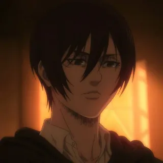 ⚔️ 2565ffca Mikasa Ackerman Attack on Titan anime, character, portrait, Mikasa, Attack on Titan whatsapp sticker