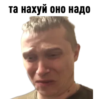 😓 44ed535b та нахуй оно надо meme, crying, emotion, expression, sad, disappointed, face whatsapp sticker