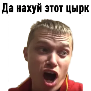 🙁 b9de1601 Да нахуй этот цырк reaction, expression, russian, slang, swear word, face whatsapp sticker