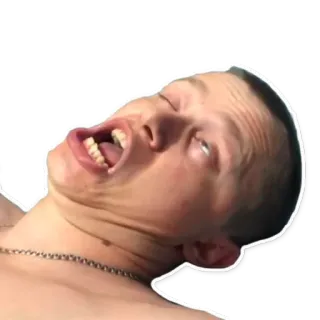 😵‍💫 5d86c358 whatsapp sticker