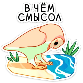 🫥 bbbac2e5 вчём смысл coruja, pássaro, pergunta, significado, desenho animado, adesivo telegram sticker