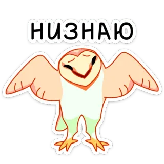 🤷‍♀️ 914cff2e НИЗНАЮ cú mèo, dễ thương, chim, hoạt hình, nga, chữ telegram sticker