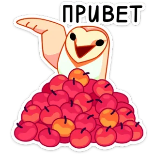 👋 da26cea8 ПРИВЕТ cú mèo, táo, xin chào, hoạt hình, lời chào, chim telegram sticker
