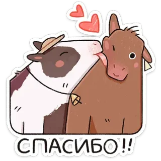 😘 8d7a62dc СПАСИБО!! vache, merci, animal, mignon, coeur, dessin animé telegram sticker